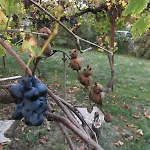 Spacieuse Dans Maison De Avec Jardin *