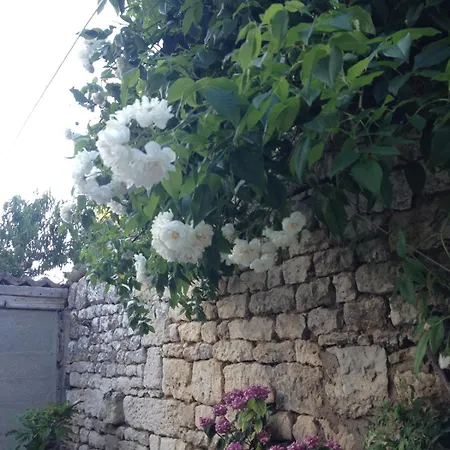 Séjour chez l'habitant Spacieuse Dans Maison De Avec Jardin