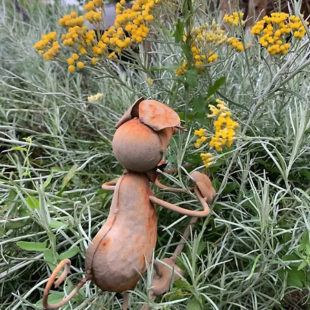 Séjour chez l'habitant Spacieuse Dans Maison De Avec Jardin Fontenay-le-Comte